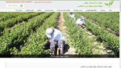 قالب طراحی سایت شرکتی